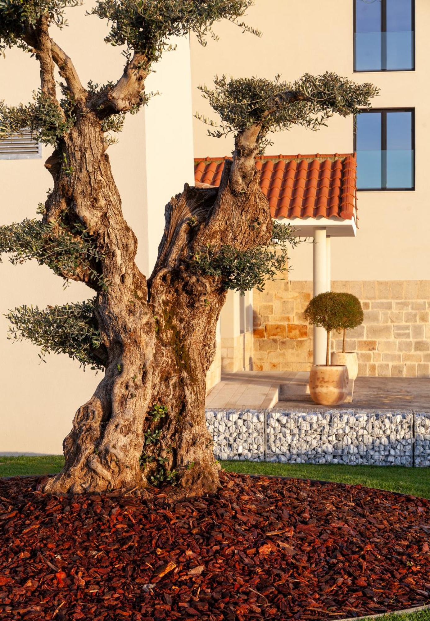 Hotel Rural Finca La Desa Miajadas 외부 사진